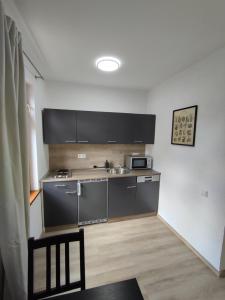 eine kleine Küche mit einer Spüle und einer Mikrowelle in der Unterkunft Ferienwohnung Steigner in Dierbach