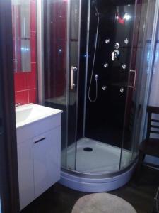 a bathroom with a shower and a sink at Apartmány Mimpi in Frymburk