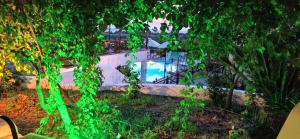 a swimming pool in a yard with trees at Seralis Pelion in Afissos