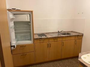 a kitchen with a sink and a counter top at Ferienwohnungen Gmeiner in Bad Endorf +16 photos