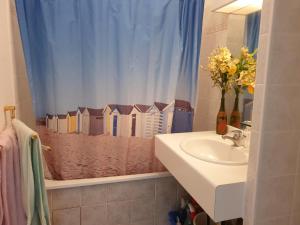 łazienka z umywalką i zasłoną prysznicową w obiekcie PORT FREJUS Studio Cabine 100m des plages 4 Person w Fréjus