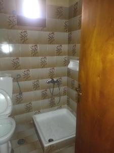 Et badeværelse på Hotel Tzoumerka + 48 billeder