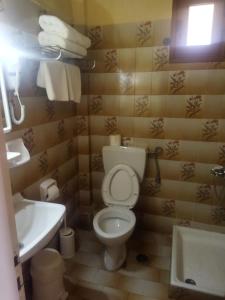 Et badeværelse på Hotel Tzoumerka