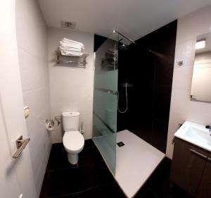 a bathroom with a toilet and a glass shower at Apartamentos La Atalaya in Olite