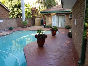 a swimming pool with three potted plants next to a house at Xisaka Guest House in Giyani