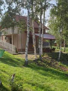 Garður fyrir utan Divčibarka