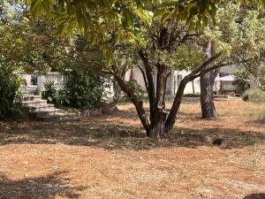 Vonkajšia záhrada v ubytovaní Maisonnette indépendante avec jardin/patio