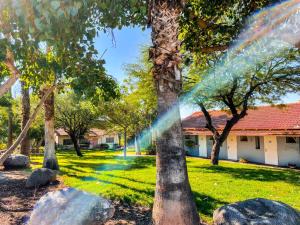 Zahrada ubytování Ein Harod Country Lodge + 58 fotografií