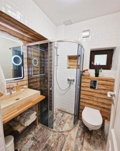 a bathroom with a shower and a toilet at Amor Tirol Bușteni in Buşteni