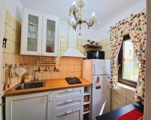 a small kitchen with a sink and a refrigerator at Amor Tirol Bușteni in Buşteni