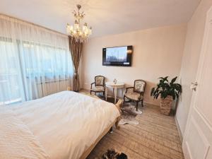 a bedroom with a bed and a table and a tv at Amor Tirol Bușteni in Buşteni