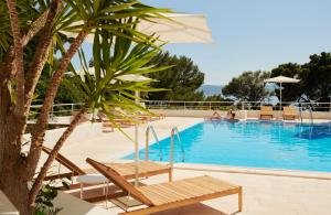 uma piscina com cadeiras e uma palmeira ao lado em Bluesun Hotel Maestral em Brela