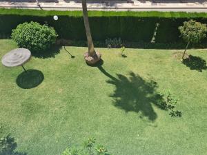 A garden outside Encantador apartamento residencial con piscina