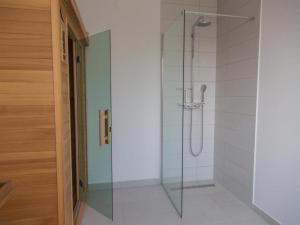 een douche met een glazen deur in de badkamer bij Thesaurum in Karanac