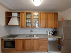 Kuchyň nebo kuchyňský kout v ubytování Seafront House Nusha
