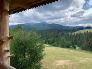 Príroda v okolí horskej chaty