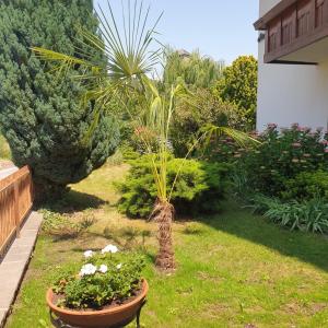 A garden outside Pension an der Mayenburg