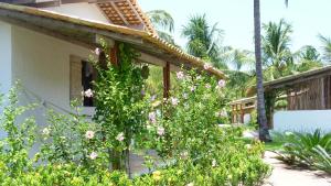 Zahrada ubytování Pousada Villages Boutique Hotel - 150m da Praia da Laje