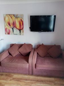 sala de estar con sofá y TV de pantalla plana en The Guest House, en Abergavenny