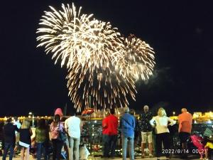 a group of people standing around watching fireworks at Villa Scialara in Vieste