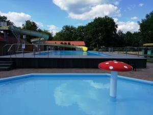 a pool with a playground with a slide and a mushroom at Huisje VOS in Schoonloo
