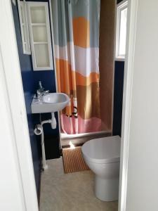 a bathroom with a sink and a toilet and a shower at Huisje VOS in Schoonloo