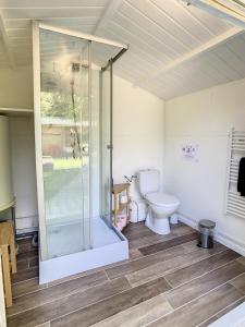 a bathroom with a toilet and a glass shower at Le Châlet des Hortillonnages in Amiens