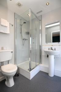 a bathroom with a shower and a toilet and a sink at Ship Inn in Aberporth