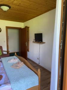 um quarto com uma cama e uma televisão na parede em Haus Sperleiten em Abtenau