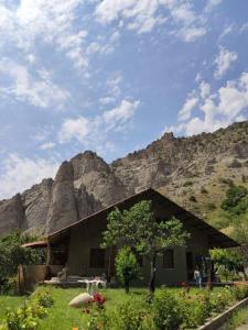 a house with a mountain in the background at Old Jermuk 