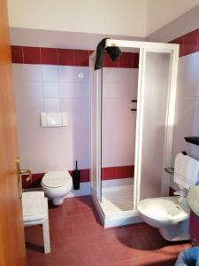 a bathroom with a shower and a toilet and a sink at Appartamenti Val di Fassa Passo Costalunga 223, 119, 114 in Vigo di Fassa