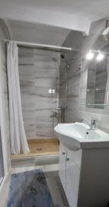 uma casa de banho com um lavatório e um chuveiro em Casa Bianca si Andrei em 2 Mai
