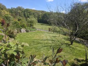 een grasveld met een hek in de verte bij Cwmbach Guest House in Neath