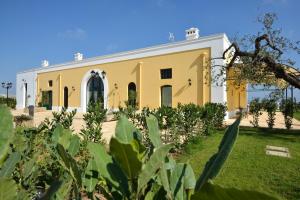 A garden outside Tenuta Orsanese