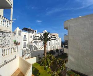 palma w środku miasta z budynkami w obiekcie Moondaka w mieście Nerja