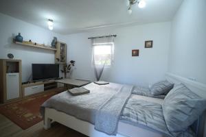 Postel nebo postele na pokoji v ubytování Cabarkapa Guesthouse