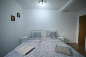 Postel nebo postele na pokoji v ubytování Cabarkapa Guesthouse