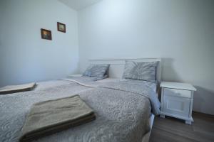 Postel nebo postele na pokoji v ubytování Cabarkapa Guesthouse