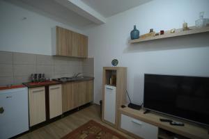 Kuchyň nebo kuchyňský kout v ubytování Cabarkapa Guesthouse