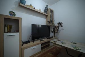 TV a/nebo společenská místnost v ubytování Cabarkapa Guesthouse