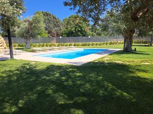 a swimming pool in a yard with a tree at Rosmat's house in Conversano