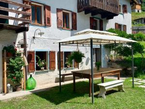 A garden outside Casa Curti