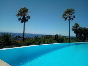 a blue swimming pool with palm trees in the background at Cannes Eden résidence de luxe piscine tennis in Vallauris