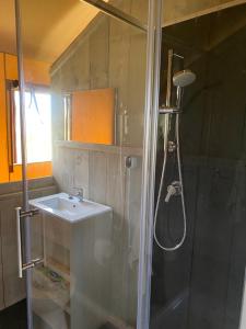 een badkamer met een douche en een wastafel bij BG Apartments Safaritent in Somogyhatvan