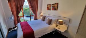 a bedroom with a bed and a large window at Salt River Lodge in Knysna +86 photos