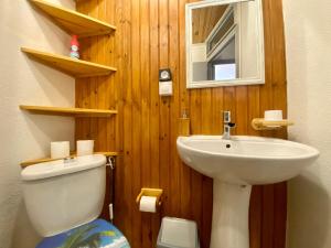een badkamer met een toilet, een wastafel en een spiegel bij L'Armagnac in Carcassonne