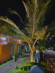 a palm tree in front of a building at night at Pousada Casarão - Pé na Areia Cumuruxatiba in Cumuruxatiba