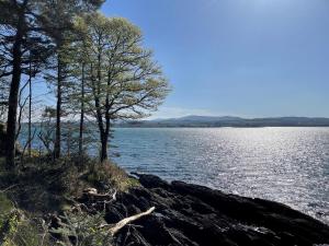 Gallery image of No 2 Ardnagashel Woods in Ballylickey