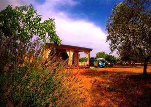 Fotografia z galérie ubytovania Nature Home Eco-friendly Pet-friendly vo Fažane