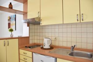 a kitchen with a sink and a mixer on a counter at Apartments Stone Tučepi in Tučepi +211 photos